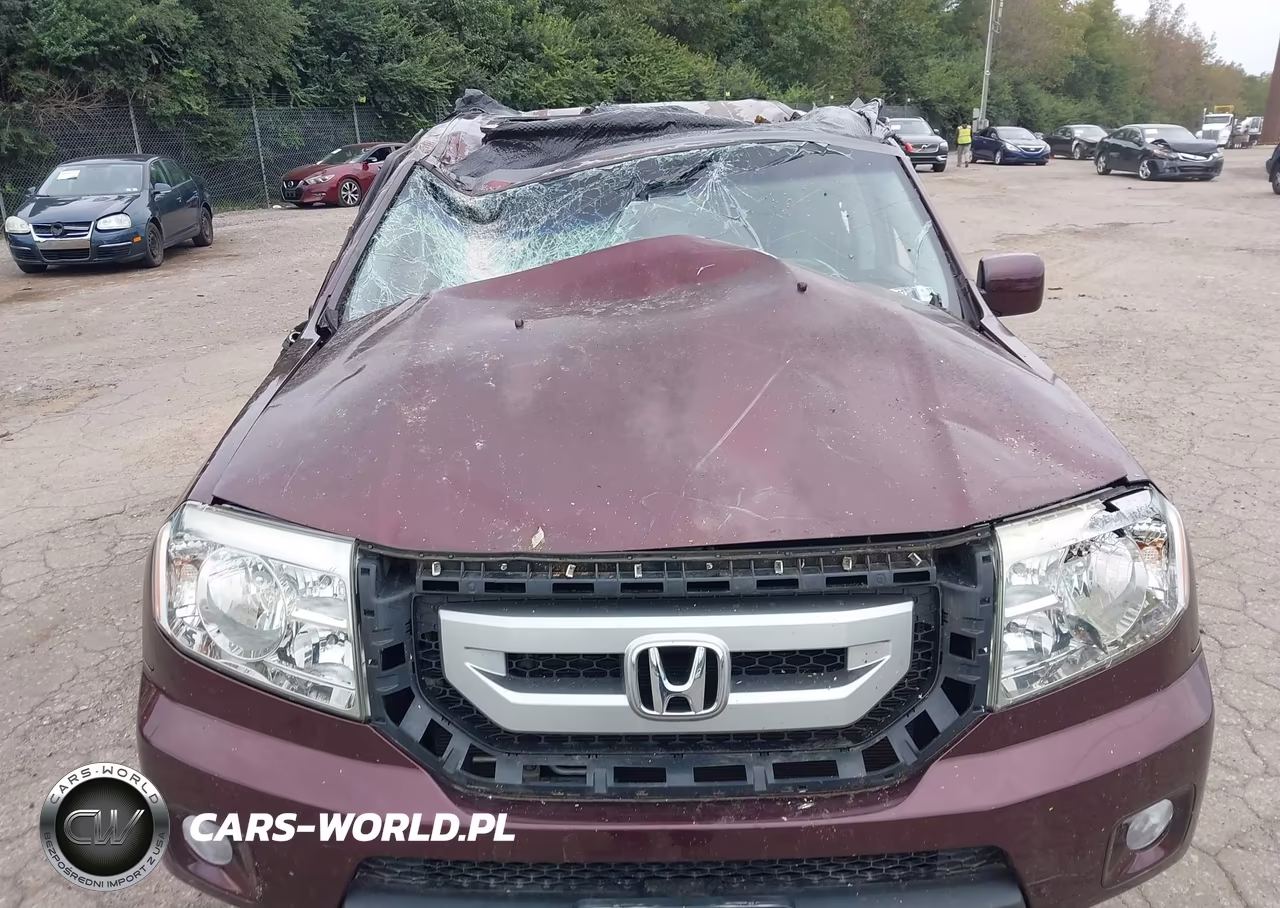 2009 Honda Pilot Ex-L VIN:5FNYF48539B026387 - 10