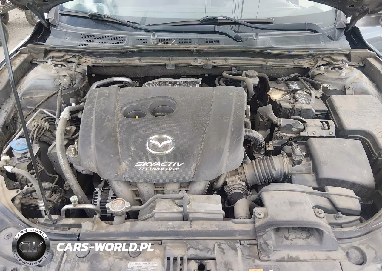 2014 Mazda Mazda3 I Sport VIN:JM1BM1U7XE1186951 - 10