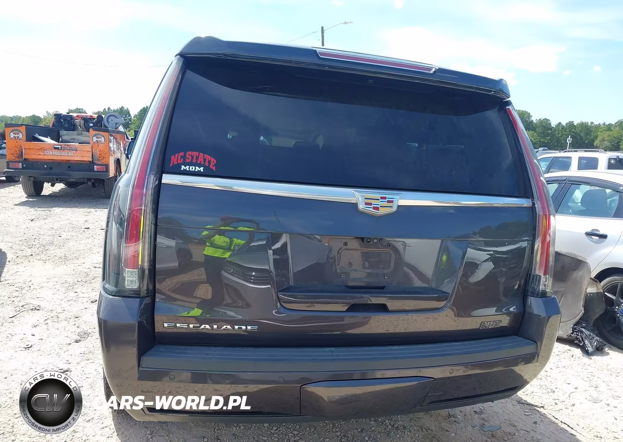 2018 Cadillac Escalade Esv Luxury VIN:1GYS4HKJ7JR260551 - 16