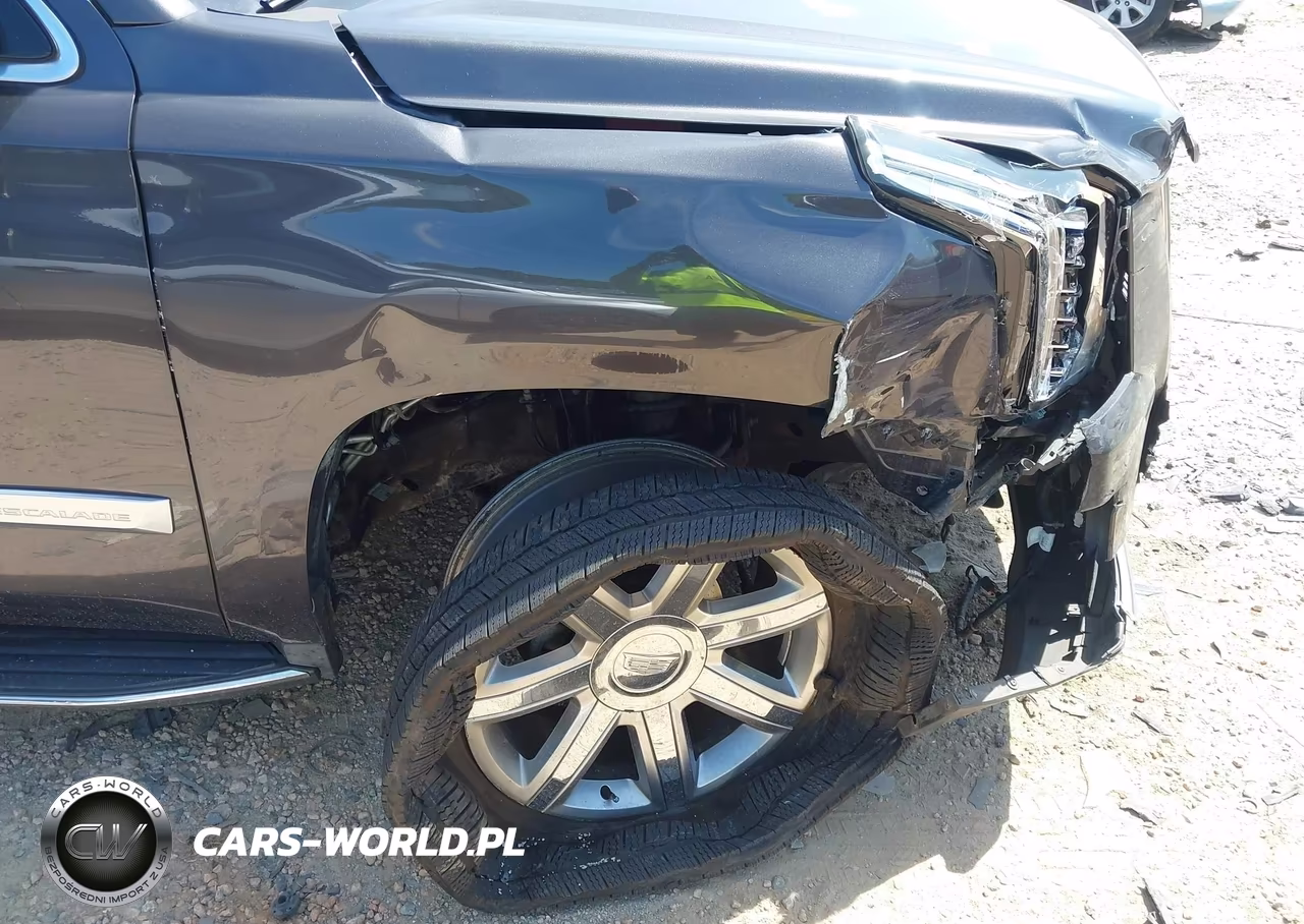 2018 Cadillac Escalade Esv Luxury VIN:1GYS4HKJ7JR260551 - 18