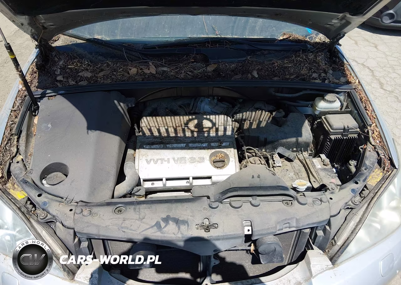 2004 Lexus Rx 330 VIN:JTJGA31U240010384 - 10