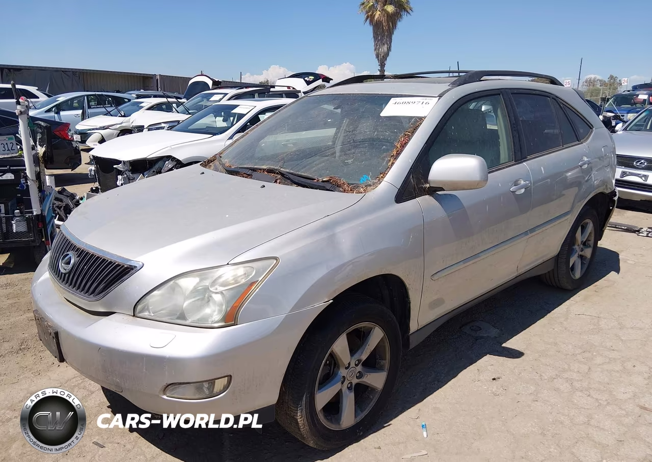 2004 Lexus Rx 330 VIN:JTJGA31U240010384 - 2