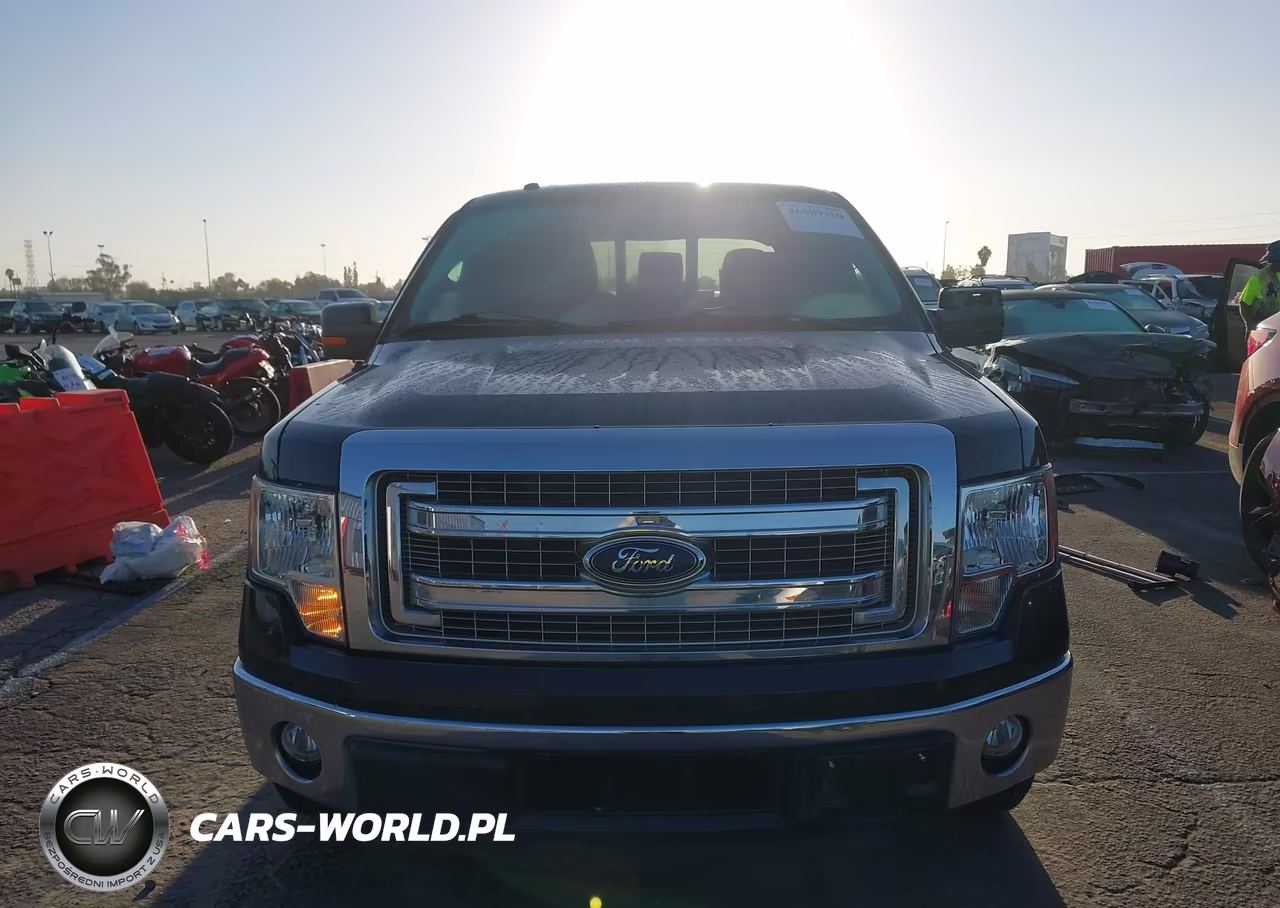 2014 Ford F-150 Xlt VIN:1FTFW1CT3EFA62761 - 12