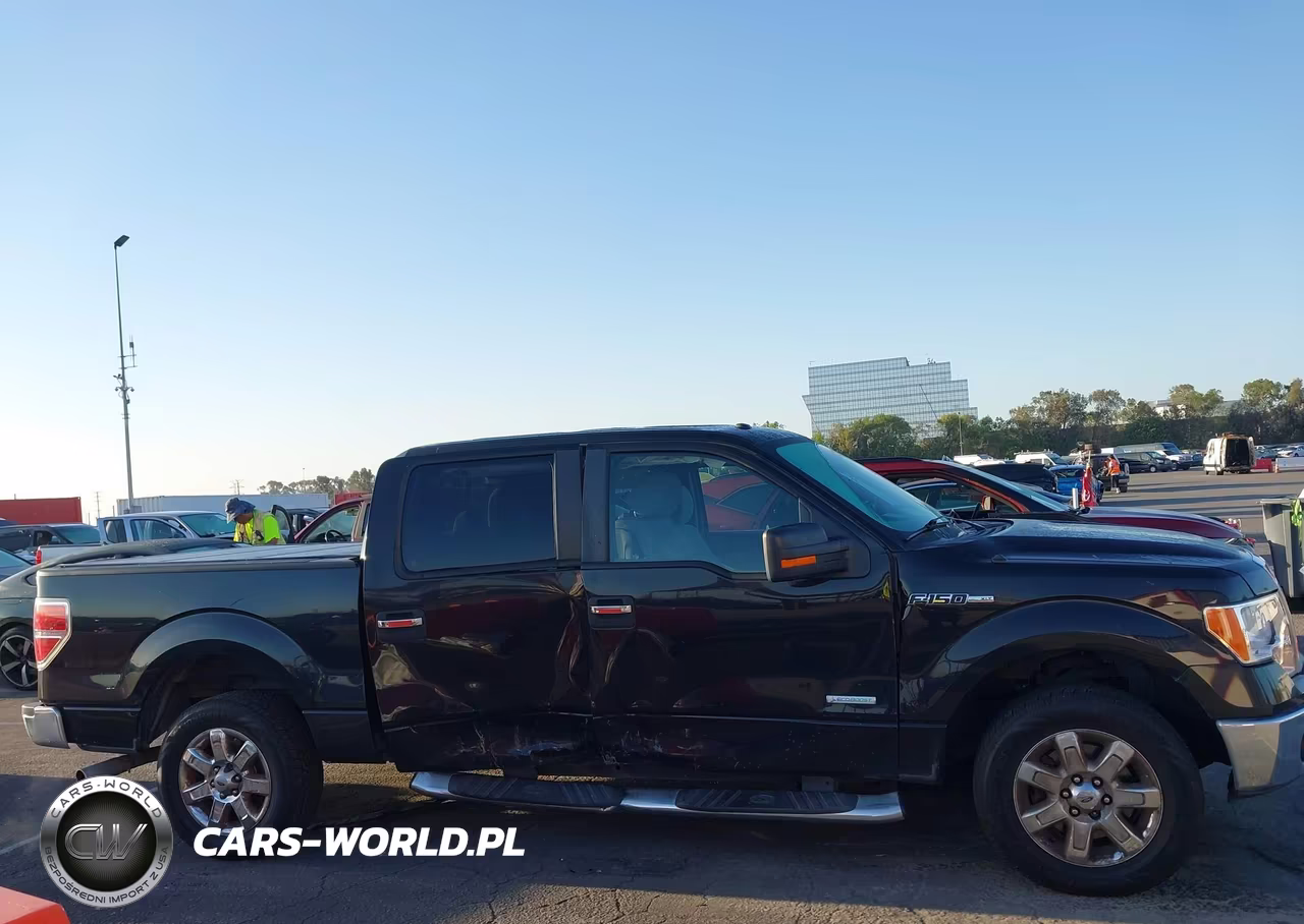 2014 Ford F-150 Xlt VIN:1FTFW1CT3EFA62761 - 13