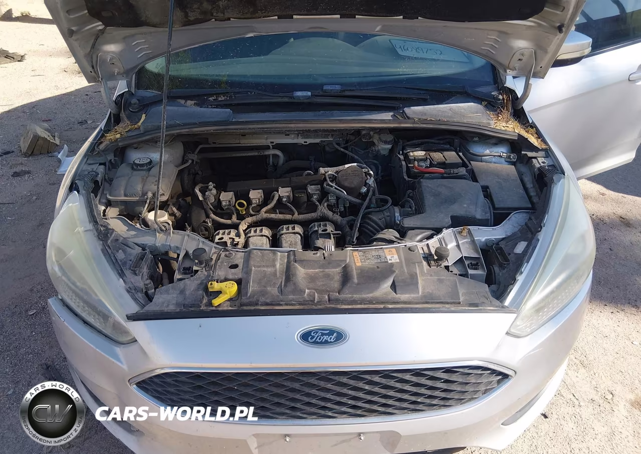 2015 Ford Focus Se VIN:1FADP3F26FL269964 - 10