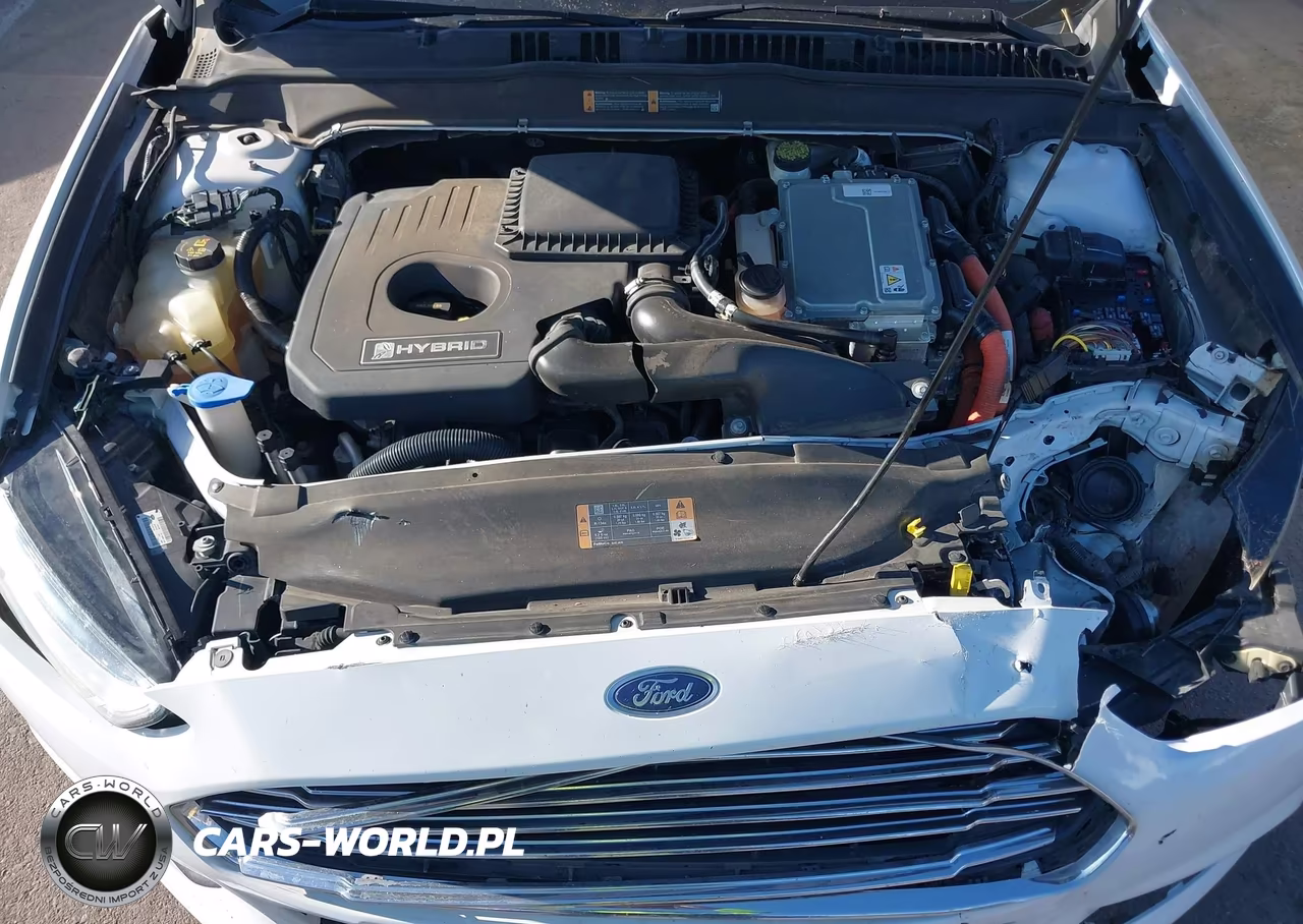 2013 Ford Fusion Hybrid Se VIN:3FA6P0LU8DR237366 - 10