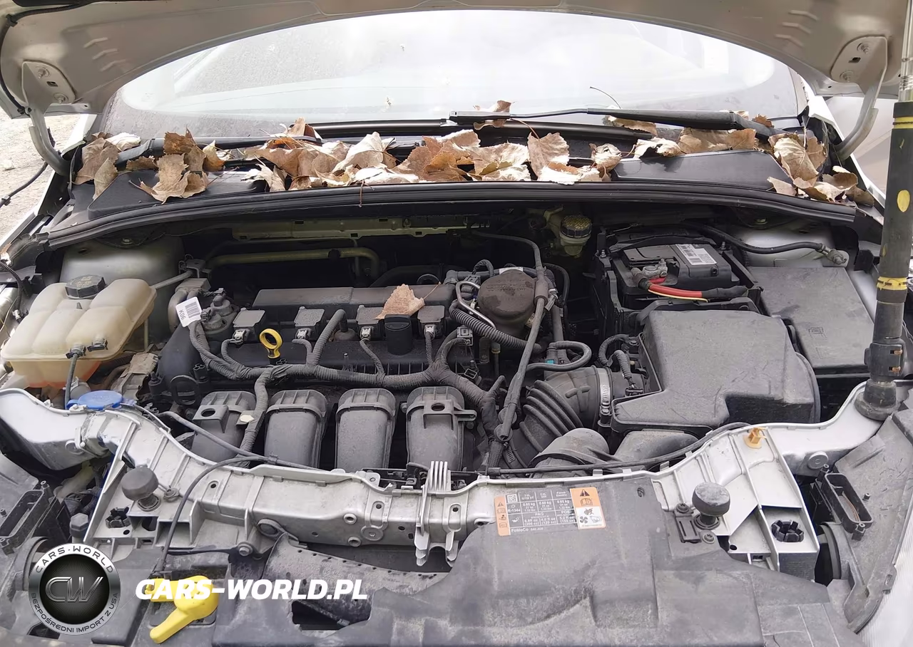2015 Ford Focus Se VIN:1FADP3F27FL338841 - 10