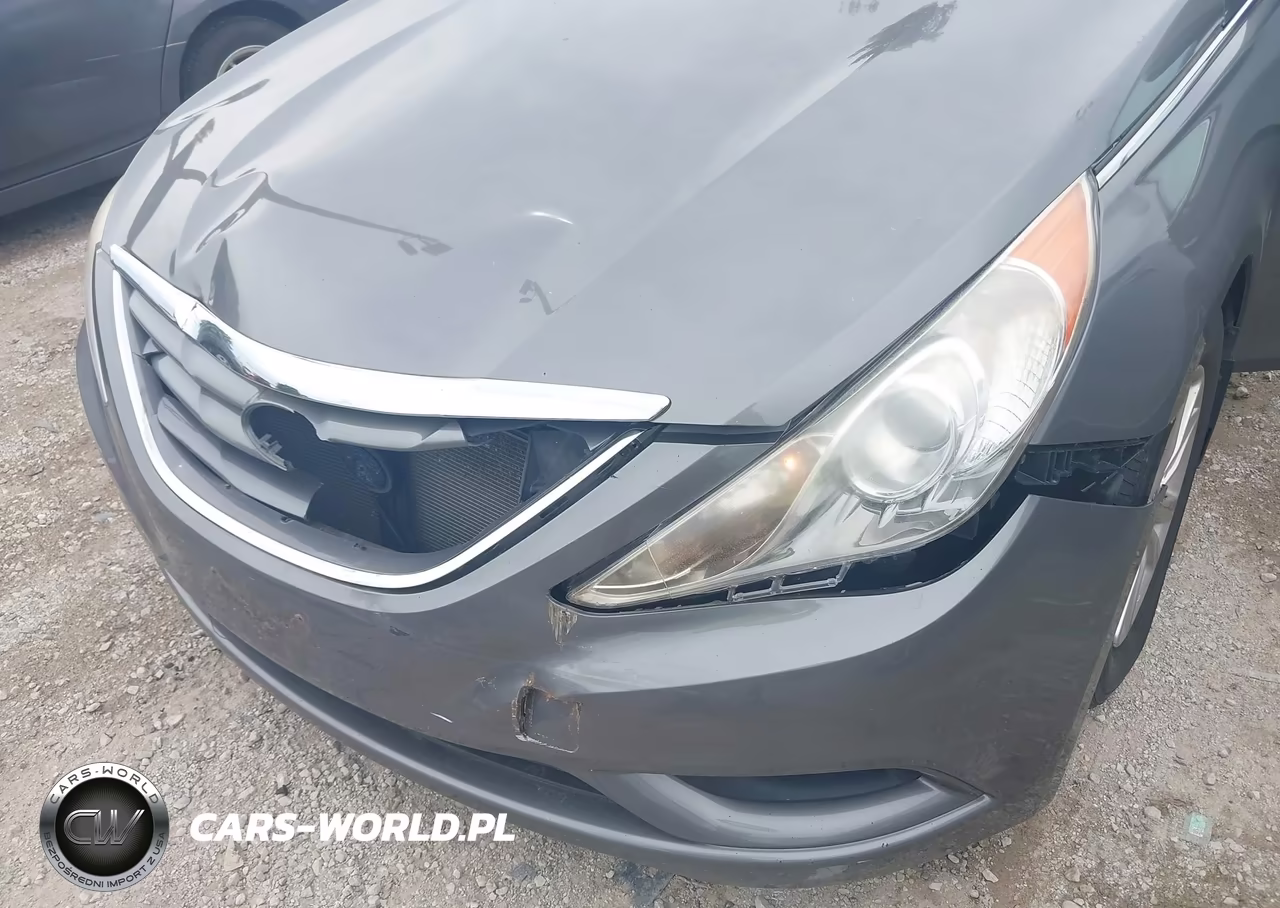 2011 Hyundai Sonata Gls VIN:5NPEB4AC1BH115065 - 6