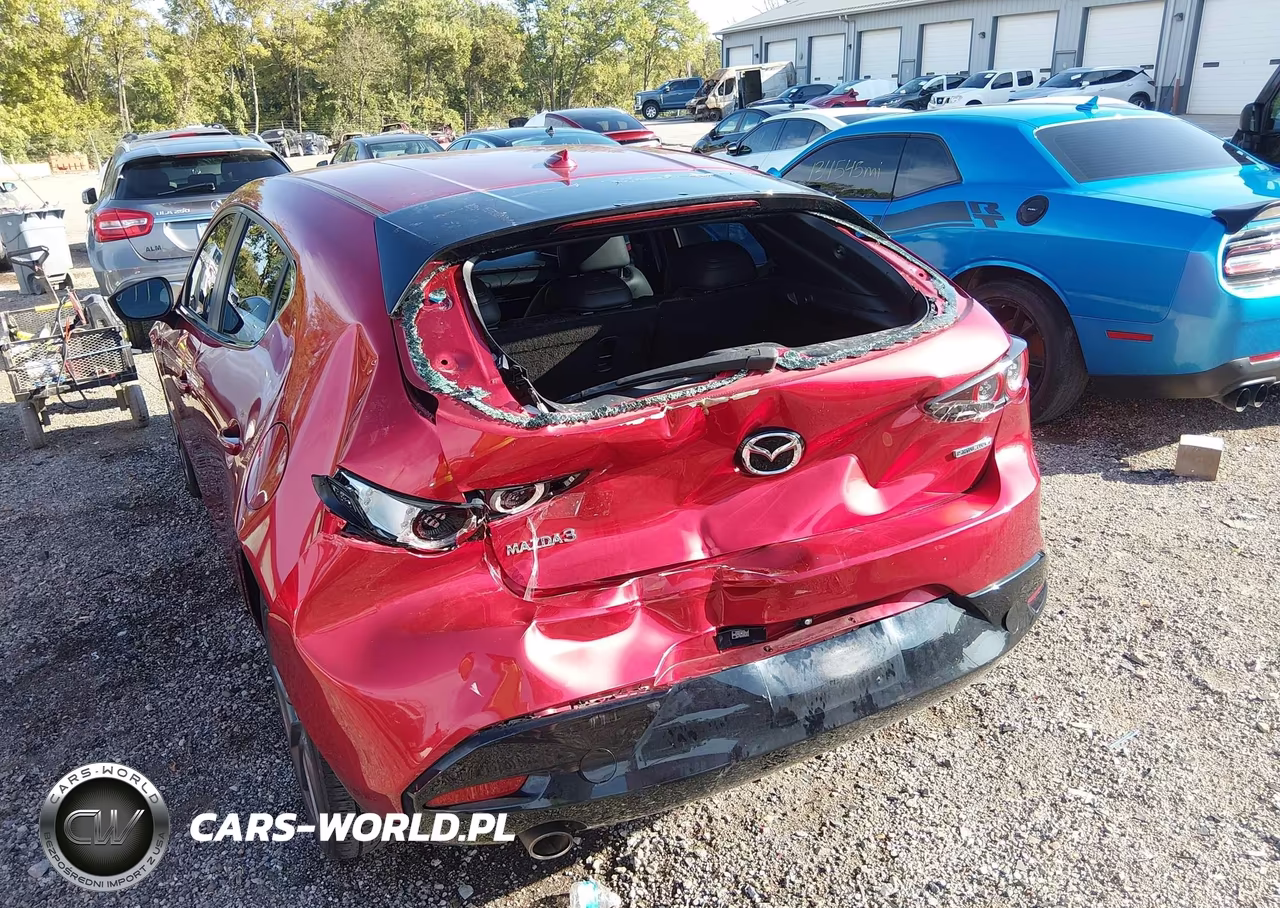 2019 Mazda Mazda3 Preferred Package VIN:JM1BPAMM4K1136054 - 6