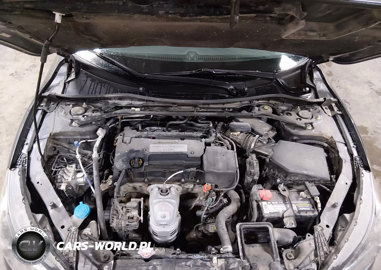 2014 Honda Accord Ex-L VIN:1HGCR2F85EA035891 - 10