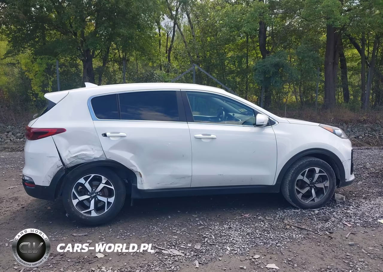 2020 Kia Sportage Lx VIN:KNDPM3AC7L7824358 - 13