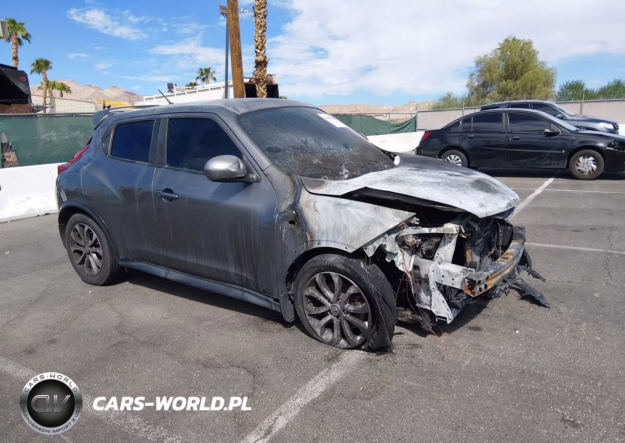 2013 Nissan Juke S VIN:JN8AF5MR2DT208205 - 1