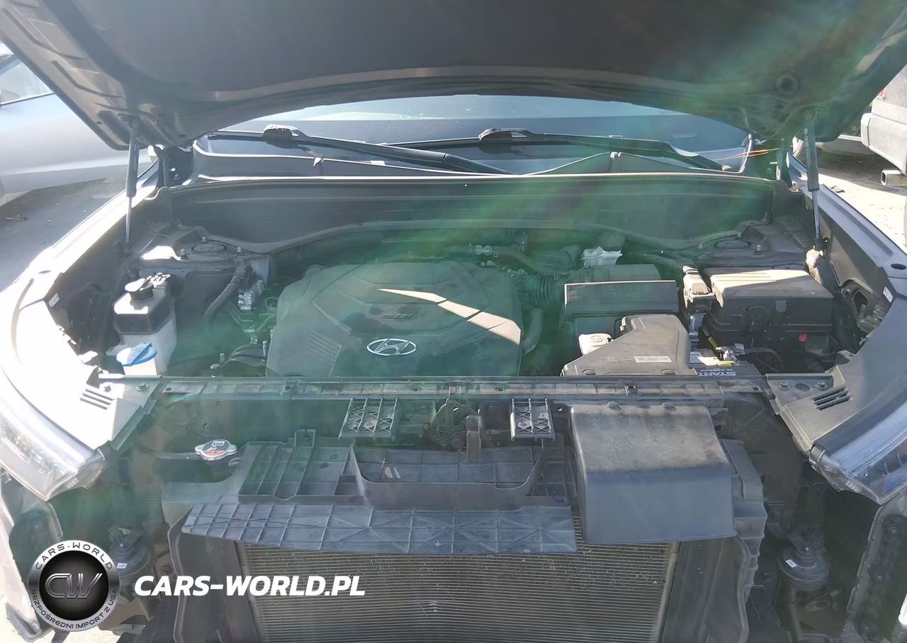 2021 Hyundai Palisade Se VIN:KM8R14HE8MU332564 - 10