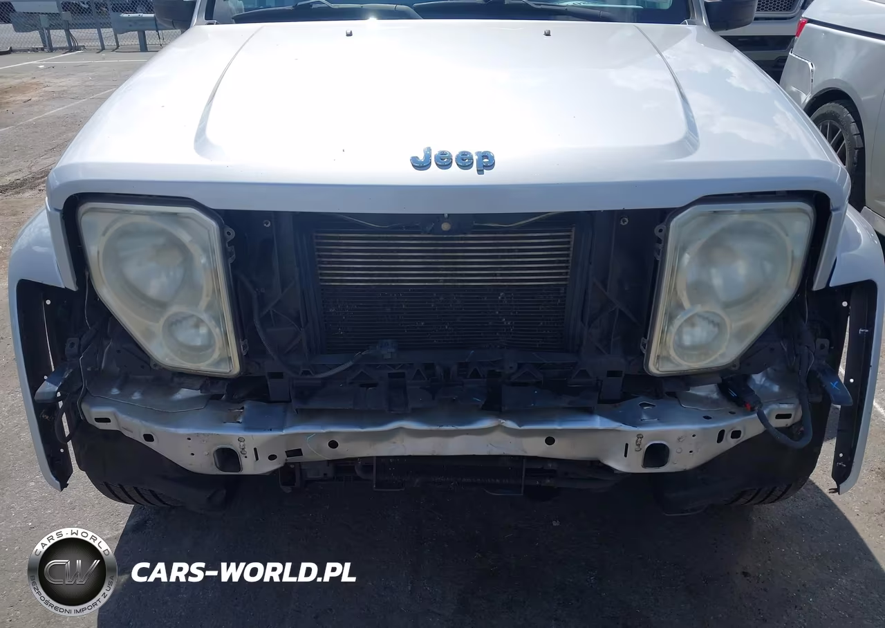 2008 Jeep Liberty Limited Edition VIN:1J8GN58K38W204179 - 6