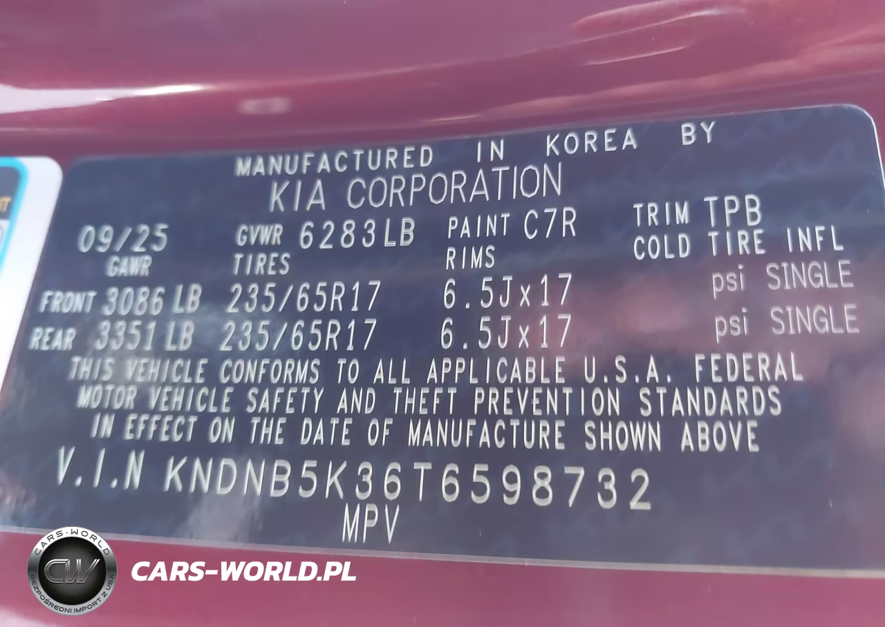 2026 Kia Carnival Mpv Lxs VIN:KNDNB5K36T6598732 - 9