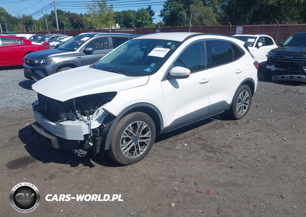 2020 Ford Escape Sel VIN:1FMCU9H94LUA19961 - 2