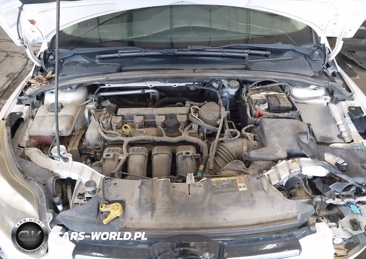 2014 Ford Focus Titanium VIN:1FADP3N27EL175916 - 10