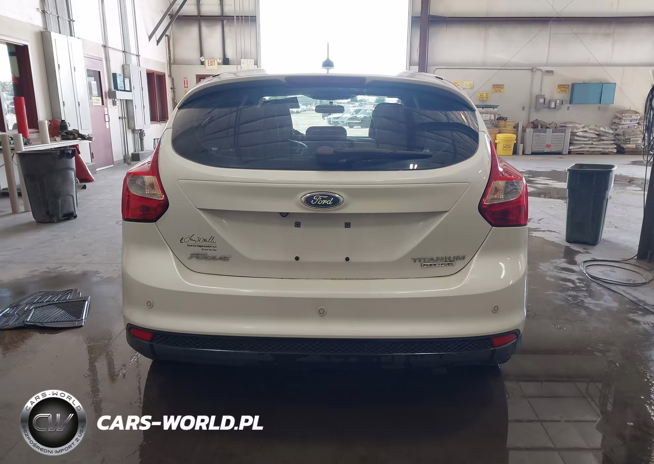 2014 Ford Focus Titanium VIN:1FADP3N27EL175916 - 17