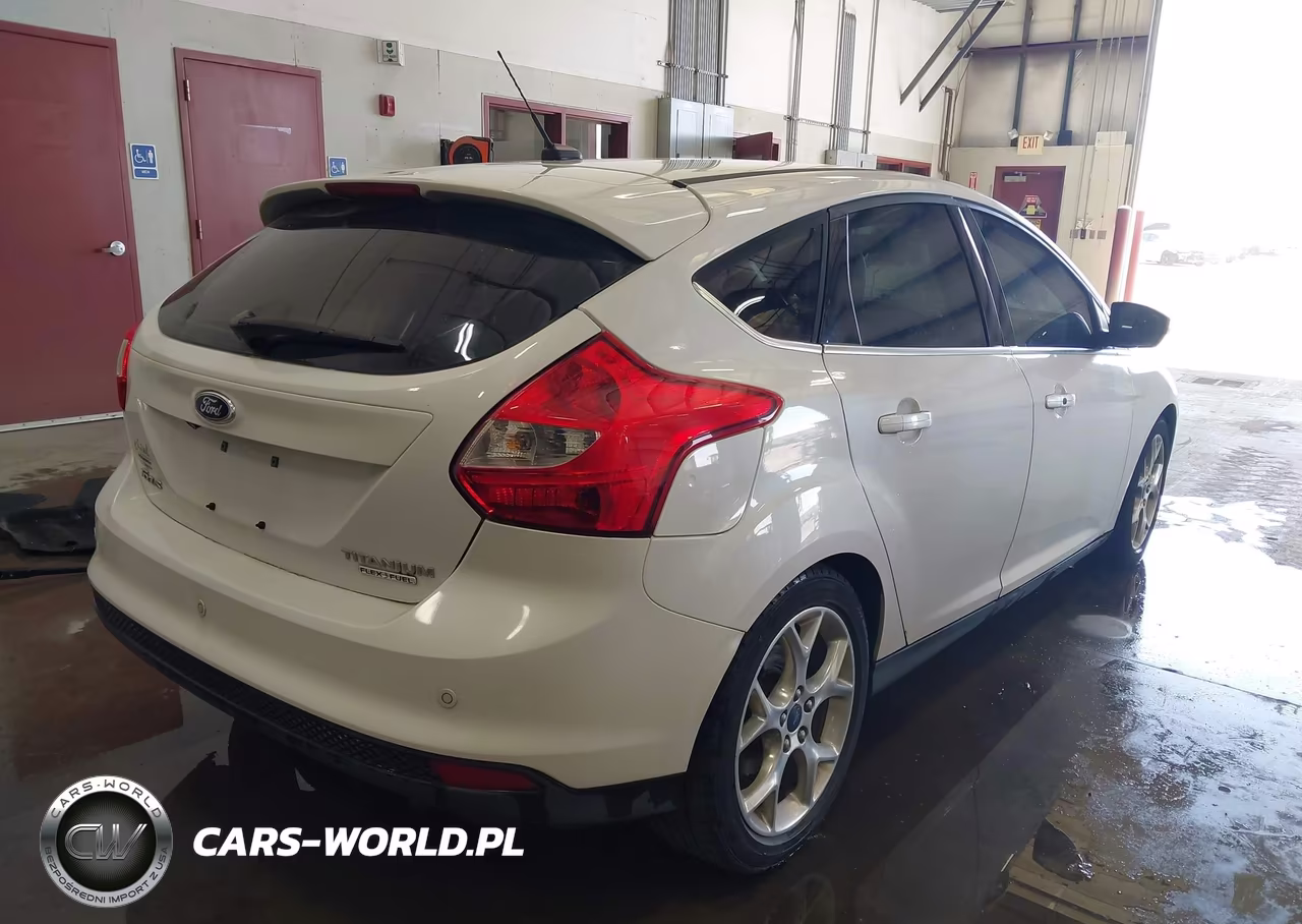 2014 Ford Focus Titanium VIN:1FADP3N27EL175916 - 4