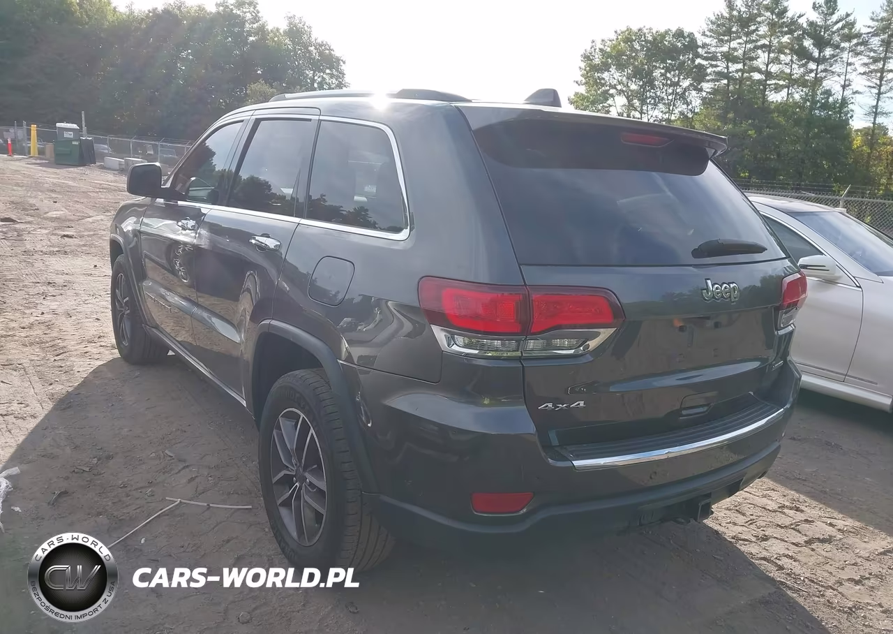 2020 Jeep Grand Cherokee Limited 4X4 VIN:1C4RJFBG2LC110441 - 3