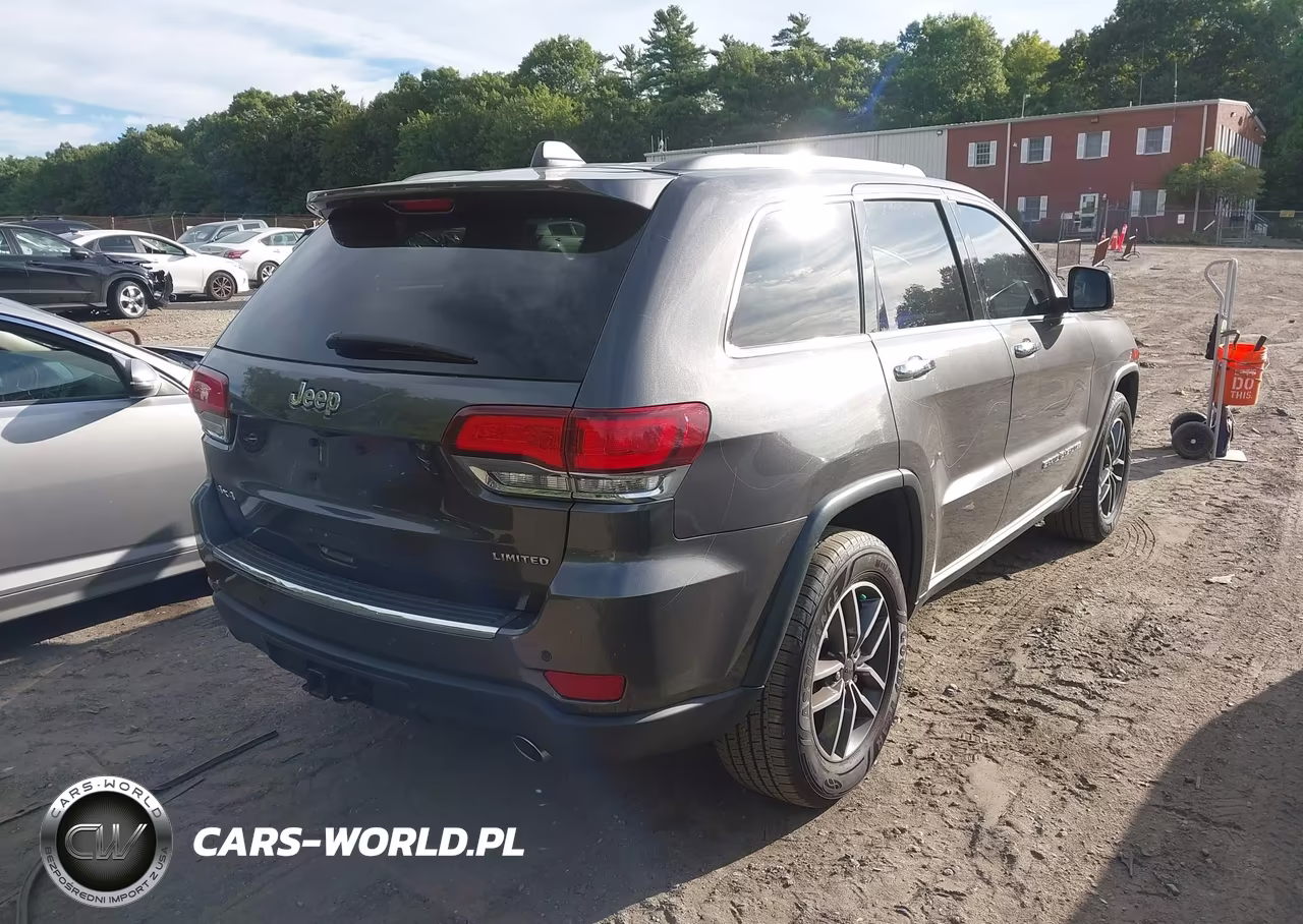 2020 Jeep Grand Cherokee Limited 4X4 VIN:1C4RJFBG2LC110441 - 4