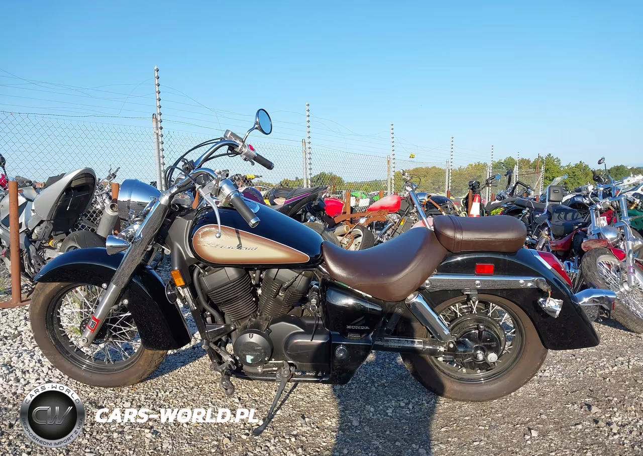 2024 Honda Vt750 C VIN:JH2RC5009RK900383 - 13