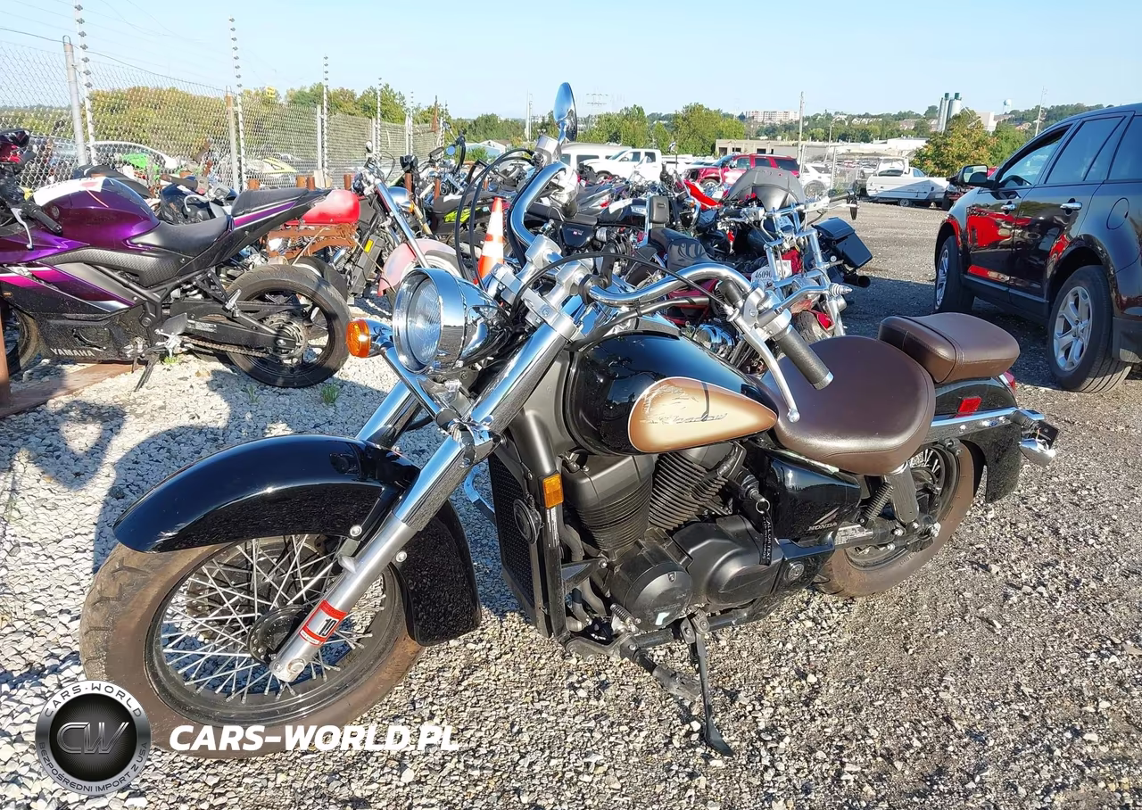 2024 Honda Vt750 C VIN:JH2RC5009RK900383 - 2