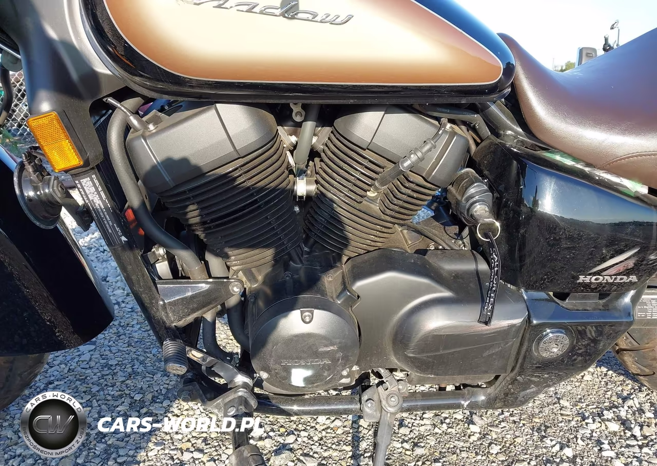 2024 Honda Vt750 C VIN:JH2RC5009RK900383 - 9
