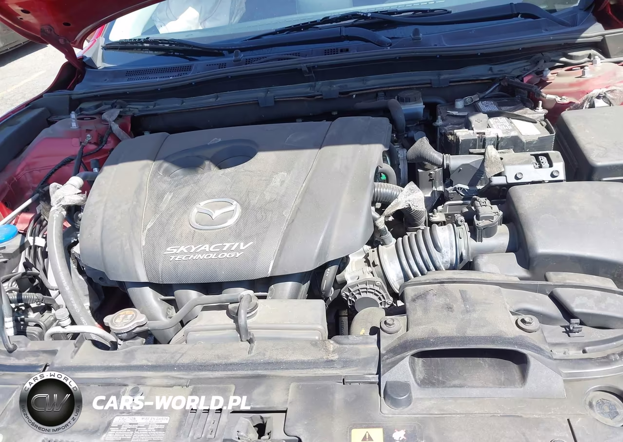 2016 Mazda Mazda3 I Touring VIN:JM1BM1L71G1342461 - 10