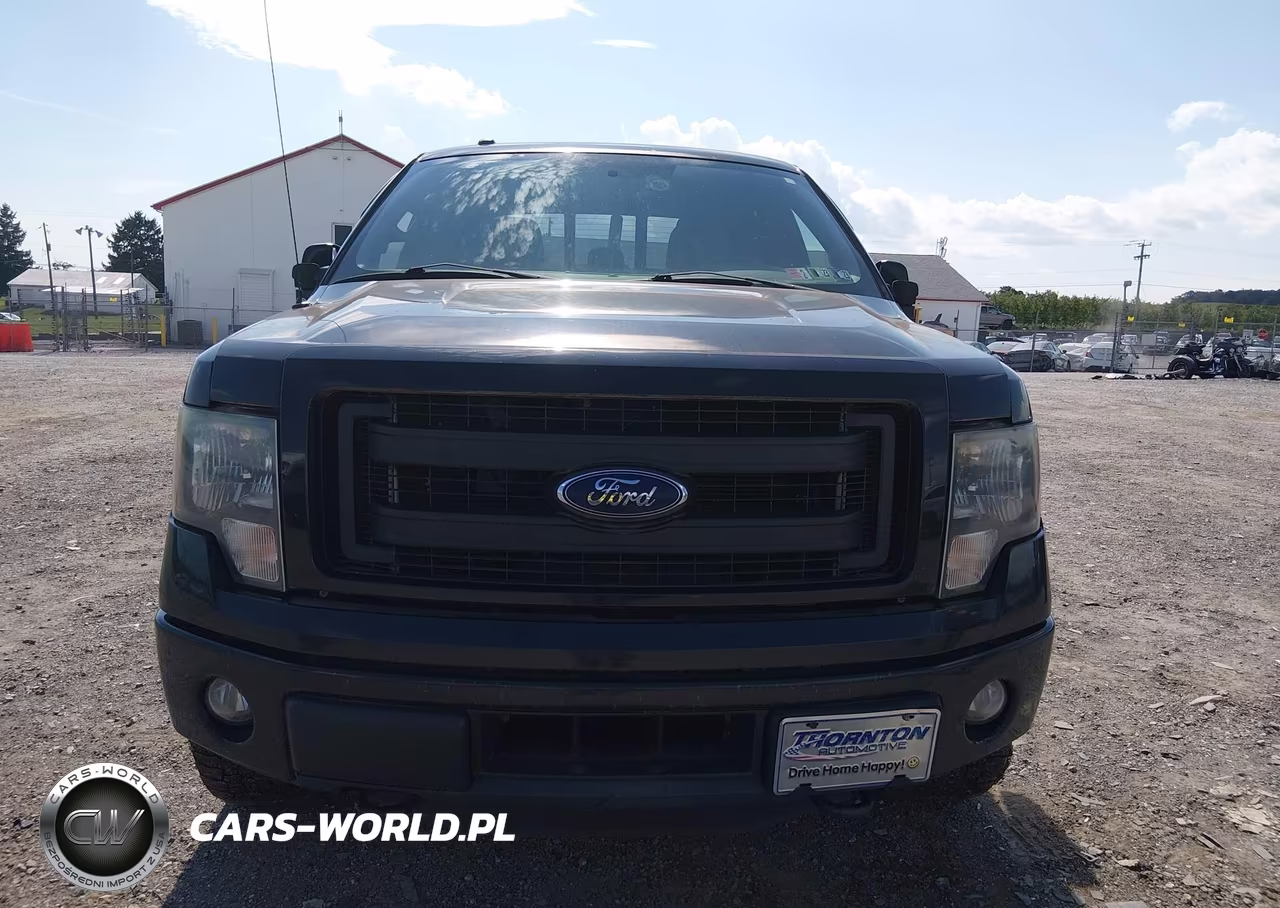 2014 Ford F-150 Fx4 VIN:1FTFW1ET1EKF84664 - 12