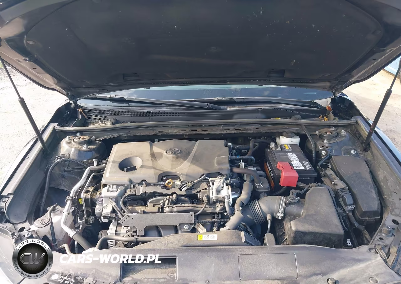 2019 Toyota Camry Se VIN:4T1B11HK8KU846918 - 10