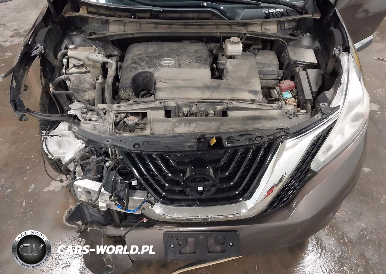 2017 Nissan Murano Platinum VIN:5N1AZ2MH9HN100338 - 10