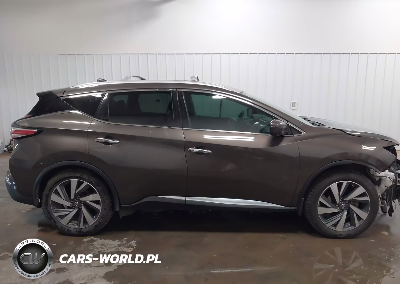 2017 Nissan Murano Platinum VIN:5N1AZ2MH9HN100338 - 13