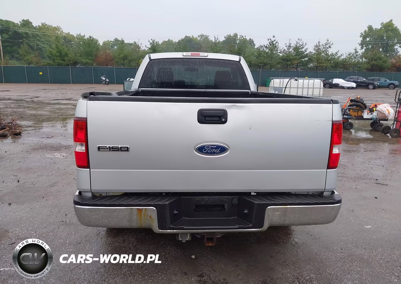 2005 Ford F-150 Stx-Xl-Xlt VIN:1FTRF12W35NB39756 - 16