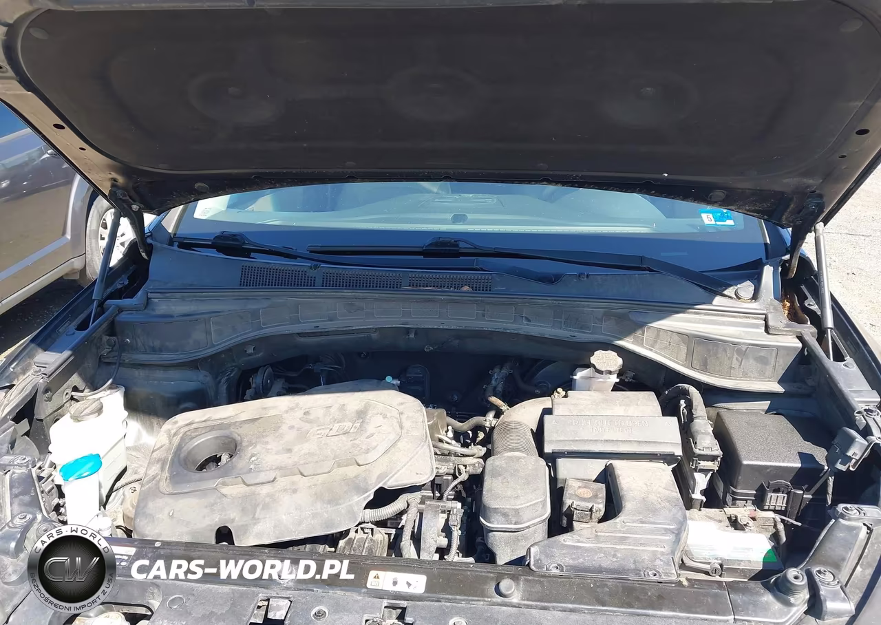 2017 Hyundai Santa Fe Sport 2.4L VIN:5NMZUDLB1HH005171 - 10