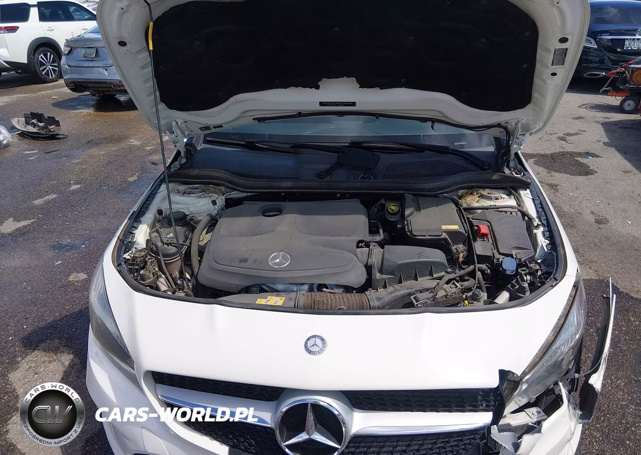 2017 Mercedes-Benz Cla 250 VIN:WDDSJ4EB7HN410175 - 10
