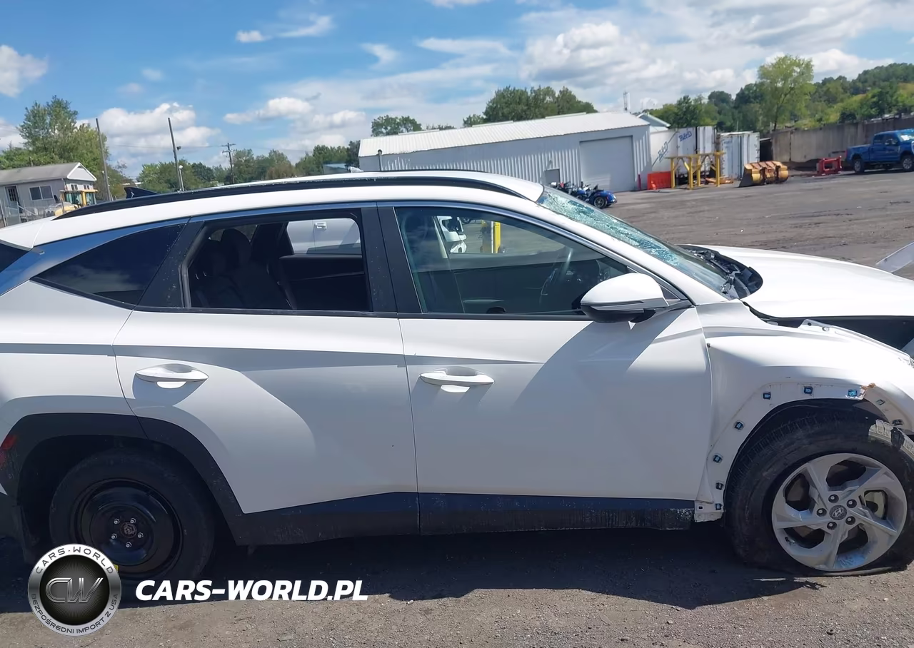 2023 Hyundai Tucson Sel VIN:5NMJBCAEXPH258501 - 13