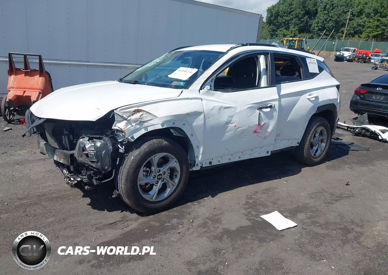 2023 Hyundai Tucson Sel VIN:5NMJBCAEXPH258501 - 2