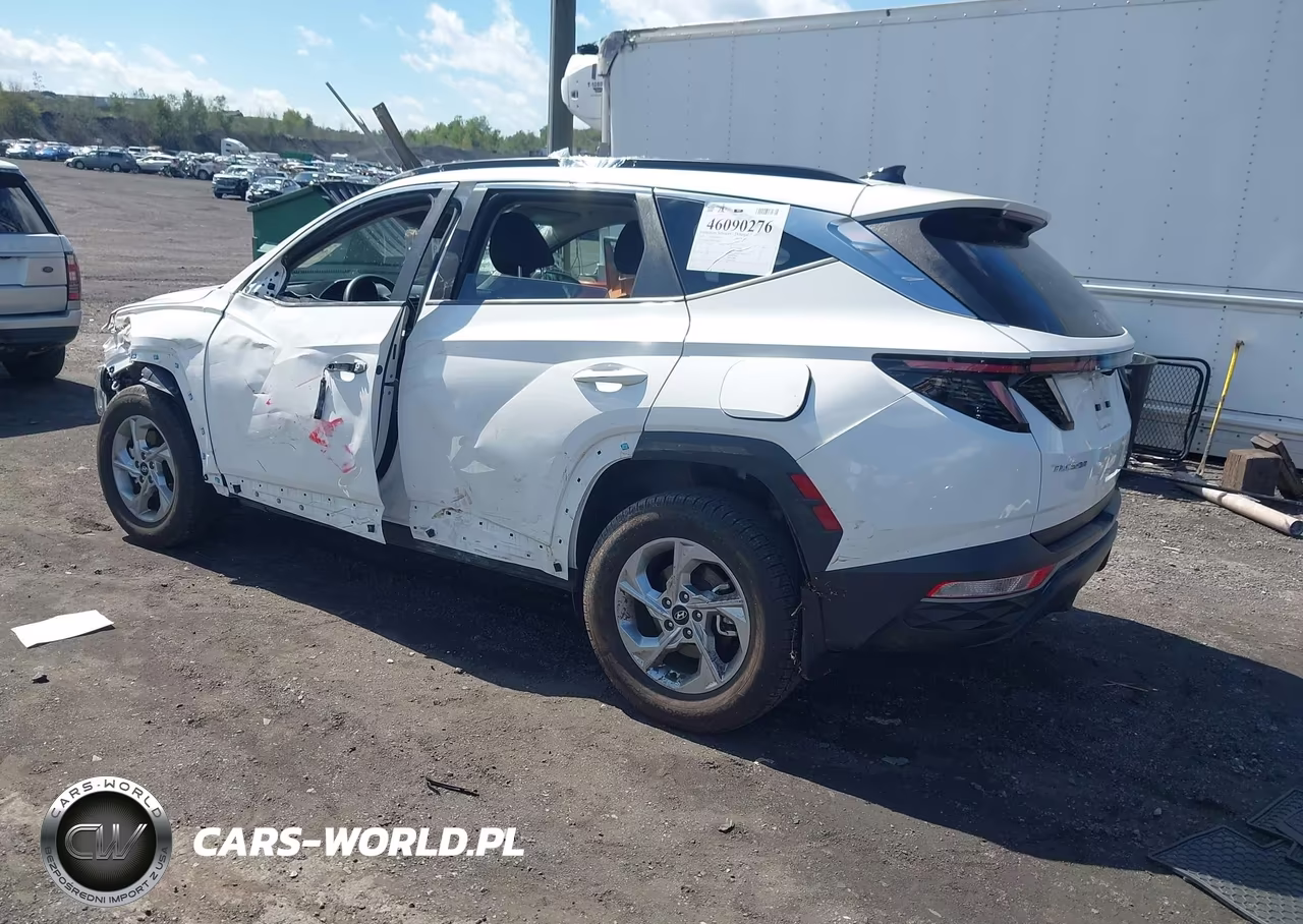 2023 Hyundai Tucson Sel VIN:5NMJBCAEXPH258501 - 3