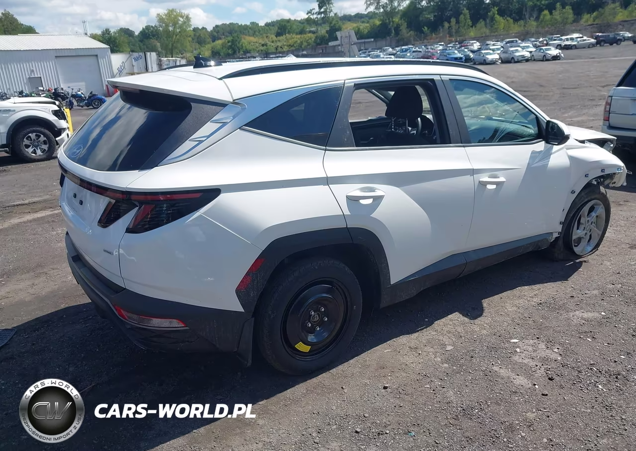 2023 Hyundai Tucson Sel VIN:5NMJBCAEXPH258501 - 4