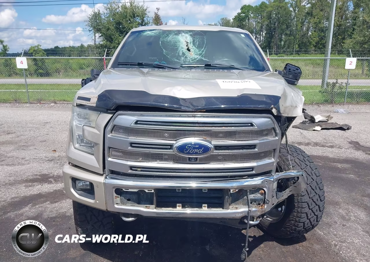 2017 Ford F-150 Platinum VIN:1FTEW1EG4HFC25532 - 13
