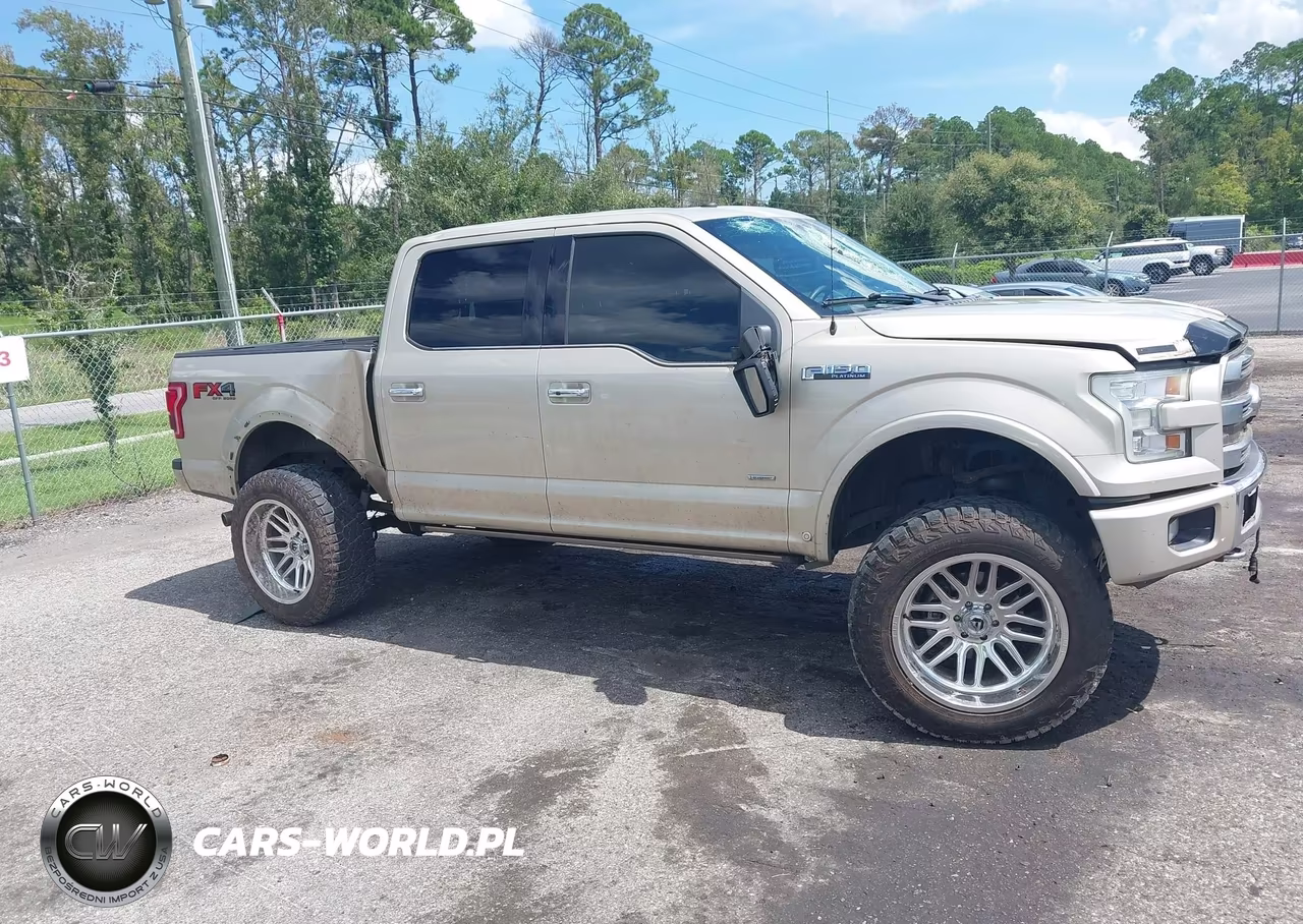2017 Ford F-150 Platinum VIN:1FTEW1EG4HFC25532 - 14