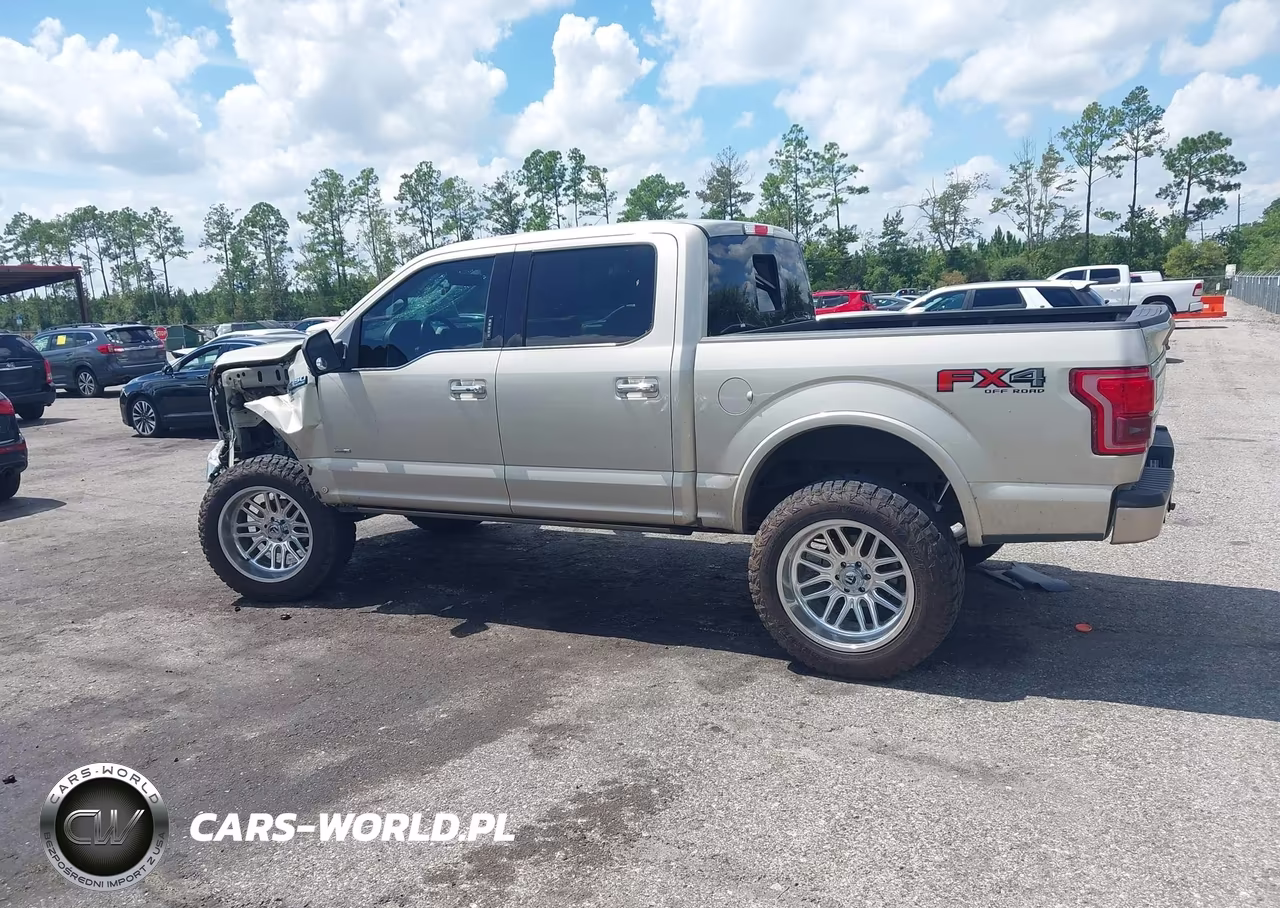 2017 Ford F-150 Platinum VIN:1FTEW1EG4HFC25532 - 15