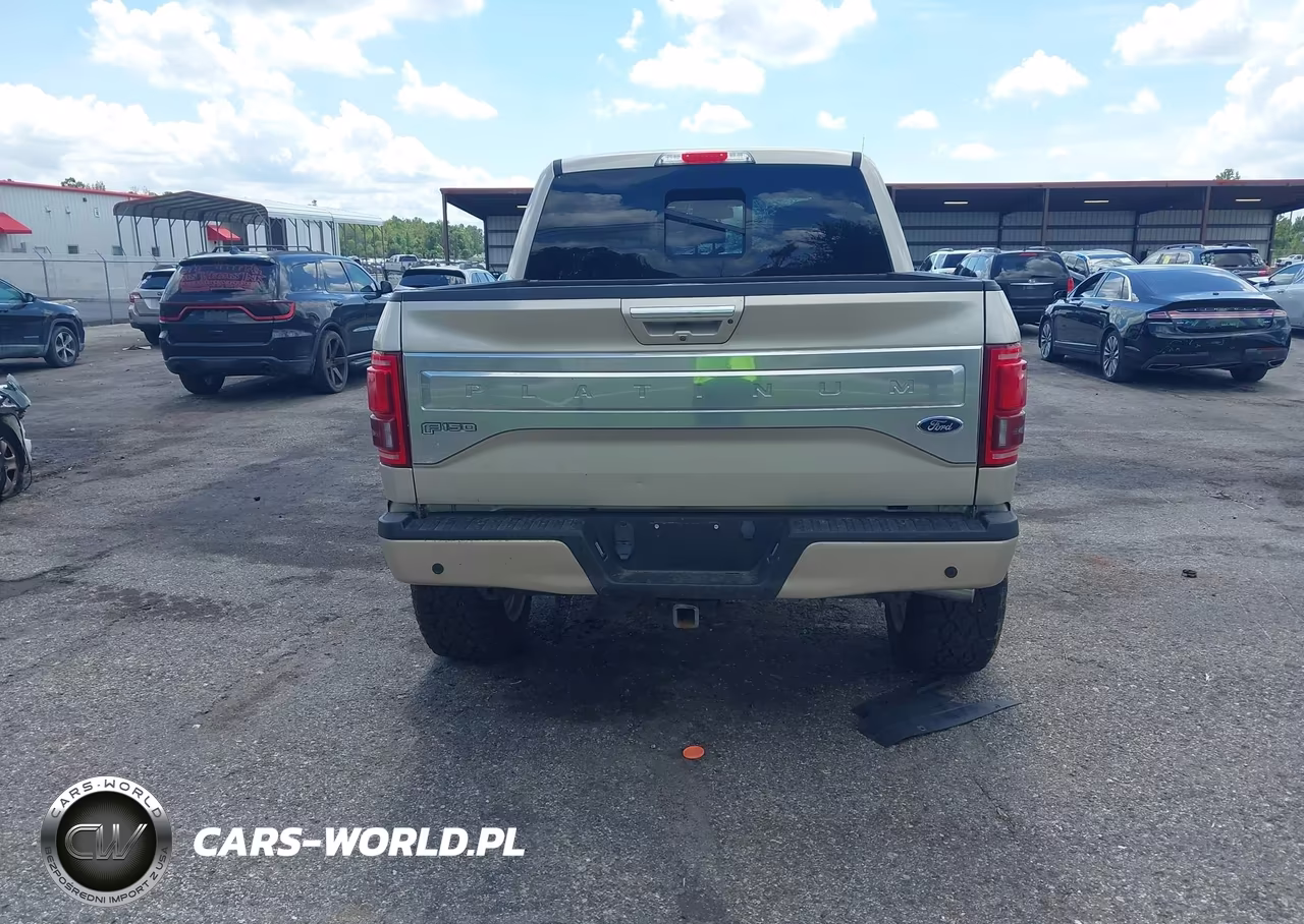 2017 Ford F-150 Platinum VIN:1FTEW1EG4HFC25532 - 17