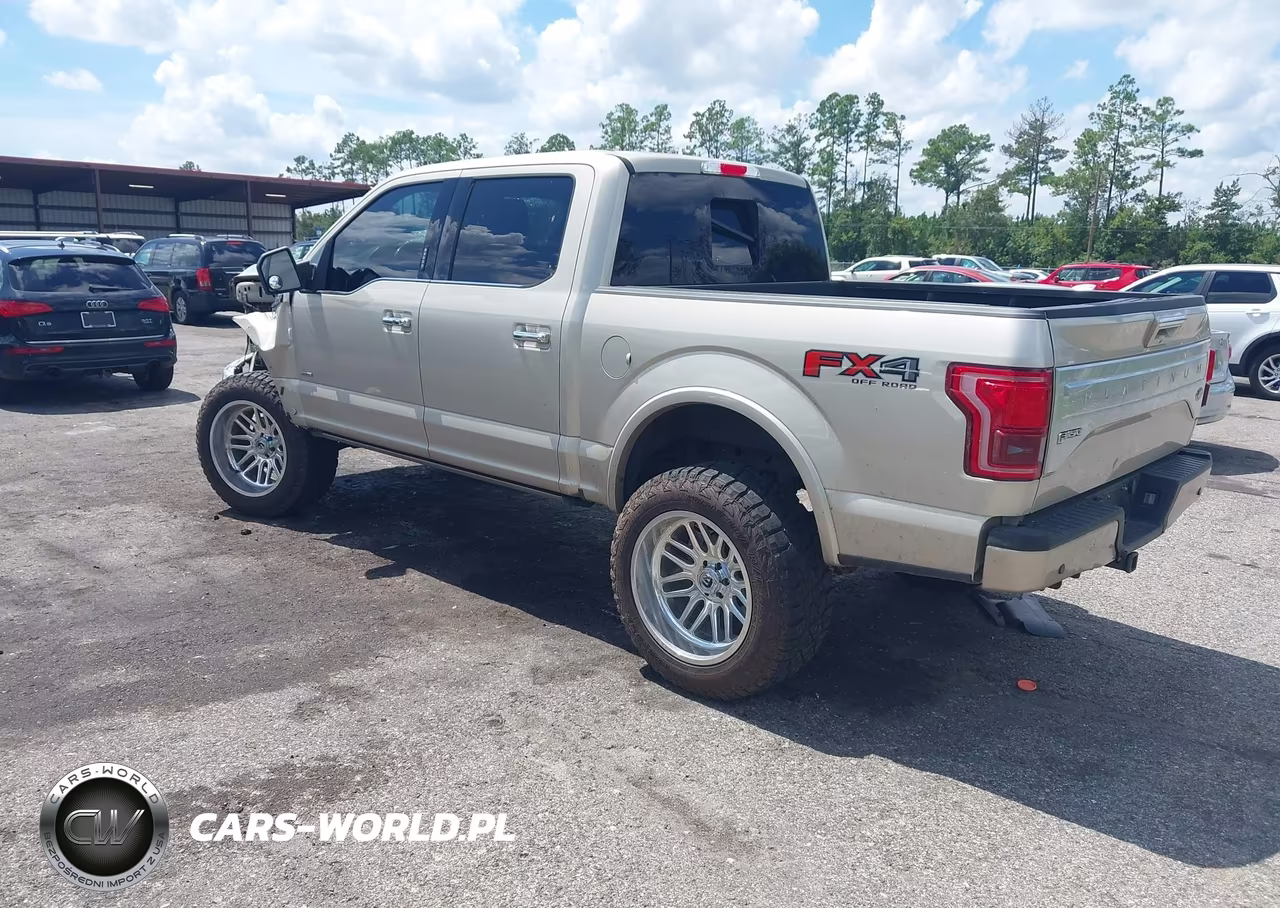 2017 Ford F-150 Platinum VIN:1FTEW1EG4HFC25532 - 3