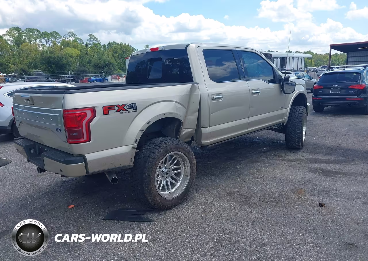 2017 Ford F-150 Platinum VIN:1FTEW1EG4HFC25532 - 4