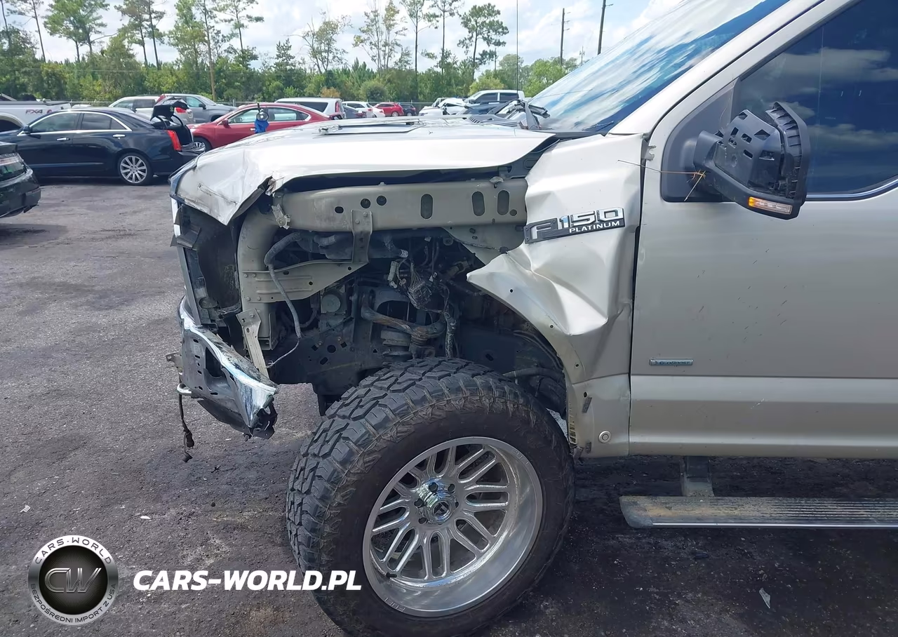 2017 Ford F-150 Platinum VIN:1FTEW1EG4HFC25532 - 6