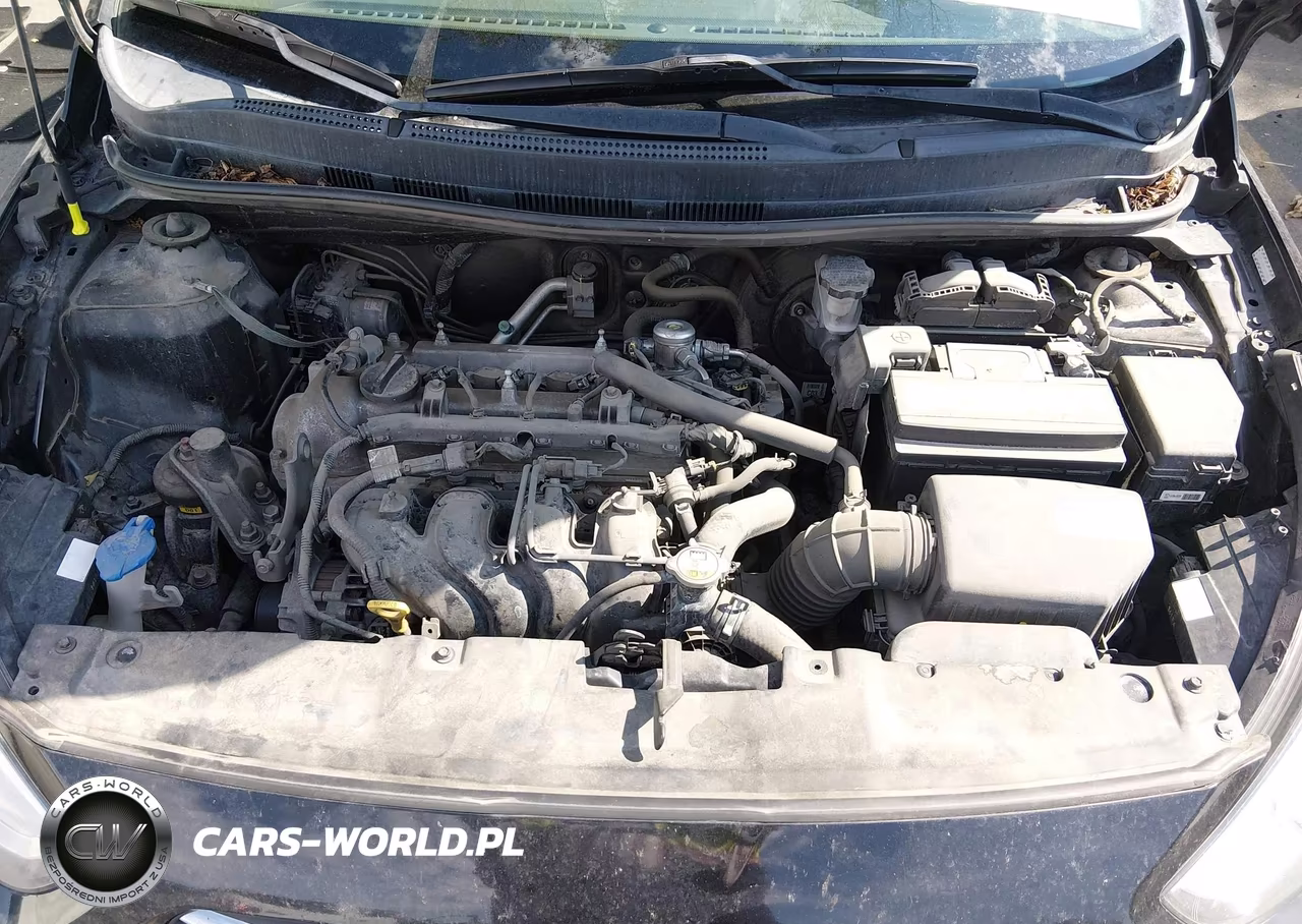 2016 Hyundai Accent Se VIN:KMHCT4AE6GU093238 - 10
