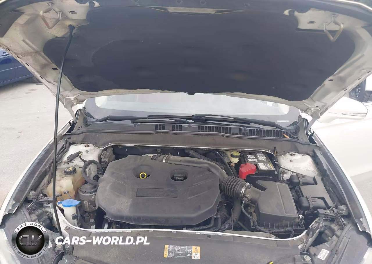 2014 Ford Fusion Titanium VIN:3FA6P0K98ER224745 - 10
