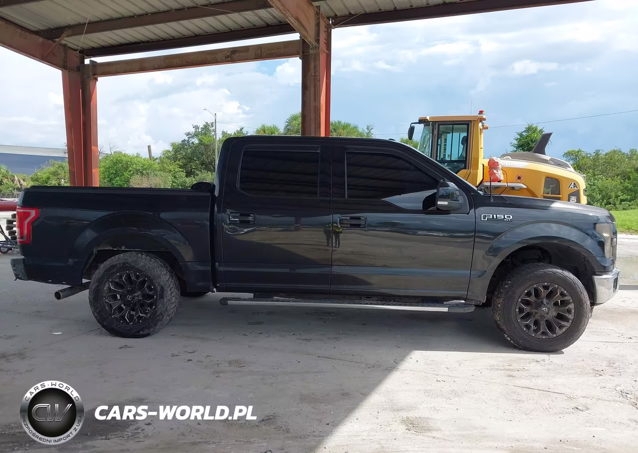 2015 Ford F-150 Xlt VIN:1FTEW1CF7FFC03399 - 13